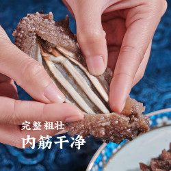 深海地带 大连即食海参1斤6-8头 冷冻辽刺参 固形物≥80% 营养滋补