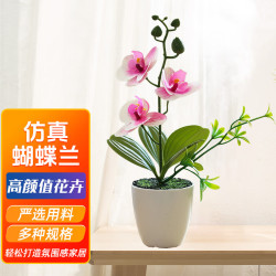 百动 JCQ 蝴蝶兰仿真植物花卉盆栽 26cm 白色紫心