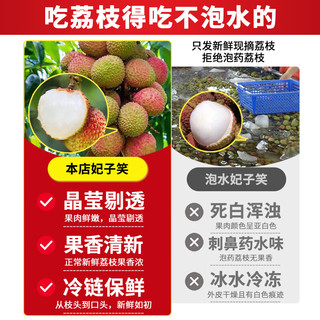 静羽荔枝新鲜2025一箱妃子笑【多地次日达】当季时令新鲜水果礼盒 5斤精选装 30年老树【A+级果】
