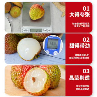 静羽荔枝新鲜2025一箱妃子笑【多地次日达】当季时令新鲜水果礼盒 5斤精选装 30年老树【A+级果】