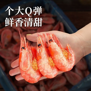 口水时代北极虾特大号甜虾新鲜冷冻刺身头籽腹籽超大北极甜虾海鲜水产即食 1500g(净重) 9-12cm 【头膏腹籽80/100】