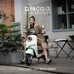 立马电动车 立马电动自行车80公里长续航电动车CG-3锂电池48V24Ah新国标电瓶车免驾照骑行上班代步小电驴杏茶咖