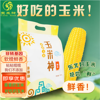 玉米神 Corn God 黄糯玉米棒 东北甜黏粘非转基因  8支≥1800g/包