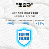  强力 双面可 椰棕床垫