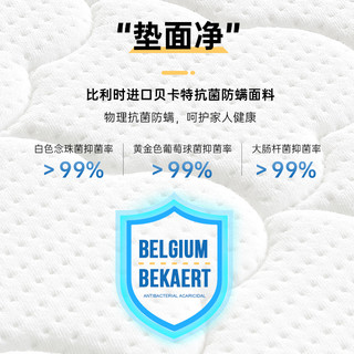  强力 双面可 椰棕床垫  偏硬 ≤5cm