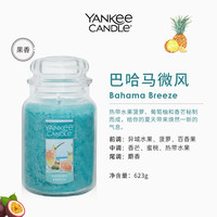 扬基 Yankee Candle YankeeCandle扬基香薰蜡烛进口家用室内持久卧室香氛女男生日礼物