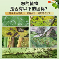多菌灵多肉杀菌药多菌菌灵杀菌剂花卉植物通用白粉黑斑病花药