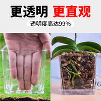 蝴蝶兰花盆蝴蝶兰花盆透明花盆蝴蝶兰盆透明兰花水苔控根盆 不带托盘