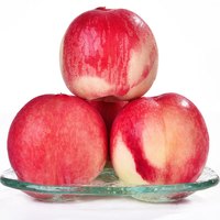 京愿 新鲜水蜜桃 毛桃 脆甜桃子 红不软 当季新鲜水果生鲜 5斤(净重4.5斤)