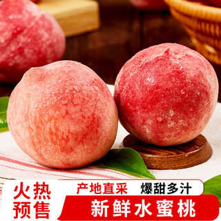 京愿 水蜜桃 5斤装 新鲜水果