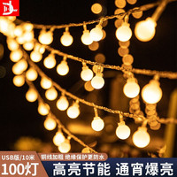 D&L 彩灯户外灯串 10米100灯暖白 USB版