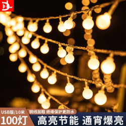 D&L 彩灯户外灯串 10米100灯暖白 USB版