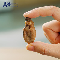 万景 北海生蚝干250g/袋 牡蛎干海产干货煲汤煮粥 端午 源头直发