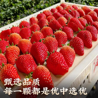 酷友【空运】丹东草莓99红颜奶油甜草莓水果礼盒装精选特大果送品 3斤特大果(单果30g+) 颗颗甄选