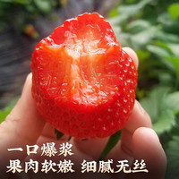酷友【空运】丹东草莓99红颜奶油甜草莓水果礼盒装精选特大果送品 2斤果王(单果35g+) 颗颗甄选