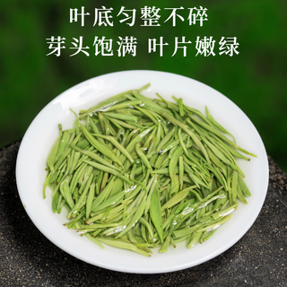 贵天下2025年新茶特级信阳毛尖浓香型茶叶高山云雾绿茶一