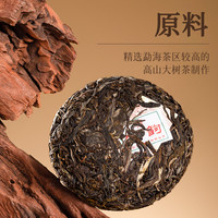 陈升号2023年生韵普洱茶普洱生茶大树茶生普 *1饼