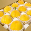 今日特惠 特大果 山东蒙阴 黄桃 黄油桃 2.5斤 7-9个
