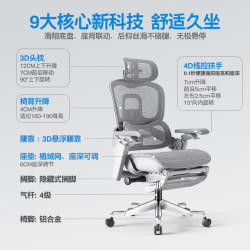 永艺 Flow550撑腰椅 带搁脚 灰色 带搁脚