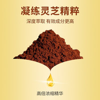 池润高浓缩灵芝孢子油软胶囊增强免疫力 破壁灵芝孢子粉精华萃取 阶段调理()