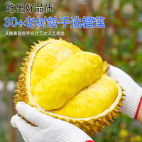 桦萱 甄选50年老树 泰国金枕榴莲