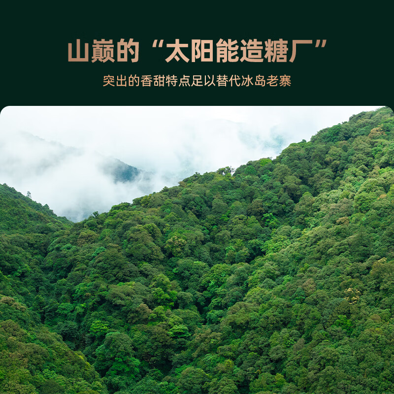 老同志茶叶 普洱茶生茶古树春茶2025年 正气塘饼茶 茶源金选 100克