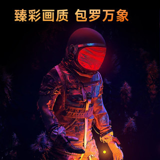 蜂王电竞 245FHKPRO 240Hz高刷 24.5英寸黑色显示器