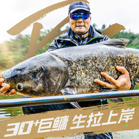 汉鼎一号鲢鳙竿轻量鲢鳙版汉鼎1号钓鱼竿台钓大物竿鱼竿碳素手竿 3.6m 汉鼎一号鲢鳙版+竿稍