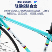 菲利普破风直把自行车公路车变速弯把成人男士竞速赛车超轻快男女式单车 RT800 消光黑-弯把 30速 S