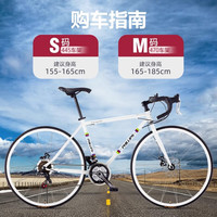 菲利普破风直把自行车公路车变速弯把成人男士竞速赛车超轻快男女式单车 RT800 极光白-弯把 24速 M