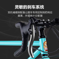 菲利普破风直把自行车公路车变速弯把成人男士竞速赛车超轻快男女式单车   M