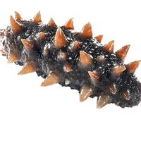 美风堂即食海参 大连即食海参单个装500g深海野生底播海鲜水产礼盒 即食海参（26-35只/斤） 三斤装