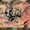 宏驰（HONCHITEC）64GB SD存储128G 256GB高速版读速200M 存储卡 SD卡 闪存卡 4K 【此卡为套餐内商品】 宏驰128G【读速280M/S】