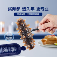 久年 大连鲜炖海参 即开即食辽刺参 滋补海鲜水产礼盒 720g (7星月套餐/28头)