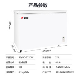 志高 一级能耗 卧式冷柜  272L