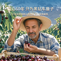 山姆大叔金奖·车厘子【JD-多地次日达】大连美早大樱桃水果礼盒端午礼物 6g(净重) 丨J 26-28mm 1斤 简装尝鲜(量少) 净