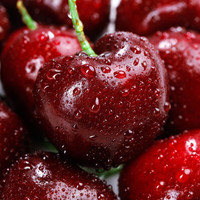 京自鲜生大连美早樱桃车厘子【JD/空运-多地次日达】大樱桃水果送礼礼盒装 1500g(净重) 礼盒装 超大果2JJ级 28-30mm