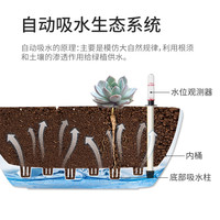 自动吸水花盆简约方形圆形多肉植物仿陶瓷阳台大口径塑料懒人花盆 小