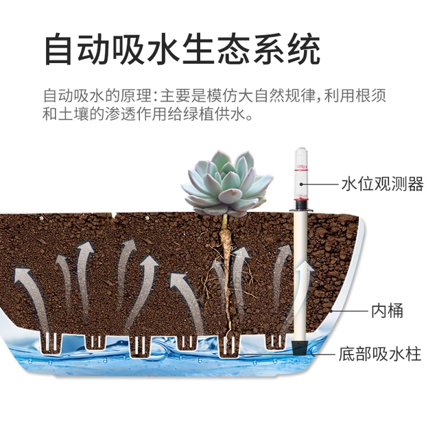 自动吸水花盆简约方形圆形多肉植物仿陶瓷阳台大口径塑料懒人花盆 小
