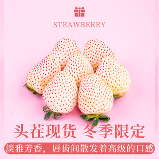 淡雪草莓空运品新鲜水果牛奶油红颜白草莓礼盒 空运|❥25g+|【严选特大果】