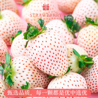 淡雪草莓顺丰空运送礼品新鲜水果牛奶油红颜白草莓礼盒情人节礼物