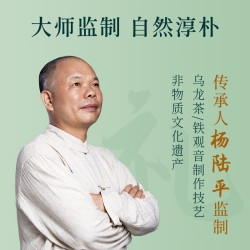 皇园 安溪铁观音 特级茶叶2025新茶春茶高山兰花香大师手作乌龙茶450g 特级铁观音