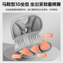 TEEIS 德国 久坐人体工学靠背坐姿椅 护腰坐垫 高级灰