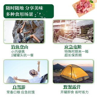 北戴河即食红烧猪肉罐头178g家庭应急防患户外露营方便泡面下饭菜