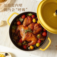 卡罗特珐琅锅铸铁锅家用砂锅炖锅炖盅煲汤锅焖烧锅不粘锅 22CM鹅黄 鹅黄色珐琅锅 22cm