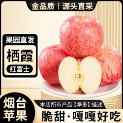 亨迅 山东栖霞红富士脆甜平果一级净重4.5斤装 单果75-80mm