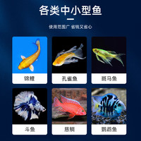 日清丸红饲料鱼苗开口小型鱼斗鱼孔雀鱼青鳉灯鱼兰寿鱼食日清丸红 鱼苗B1饲料100g