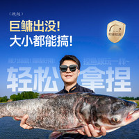 汉鼎极越轻量鲢鳙竿大综合28调高碳素钓鱼渔具手杆手竿鲢鳙台钓竿鱼竿 4.5m 极越【轻量鲢鳙 速发】