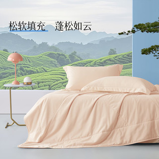 百丽丝水星家纺集团旗下 抗菌十孔纤维夏被A类 山茶茶抗菌十孔纤维夏被 150cm*210cm