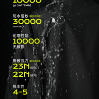 东丽 TORAY RESTICK“破晓